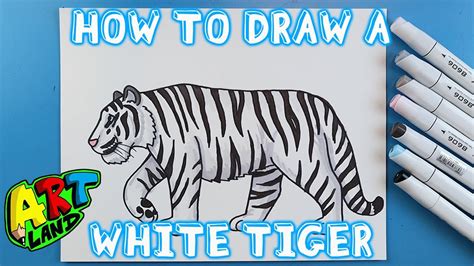 How to Draw a White Tiger .